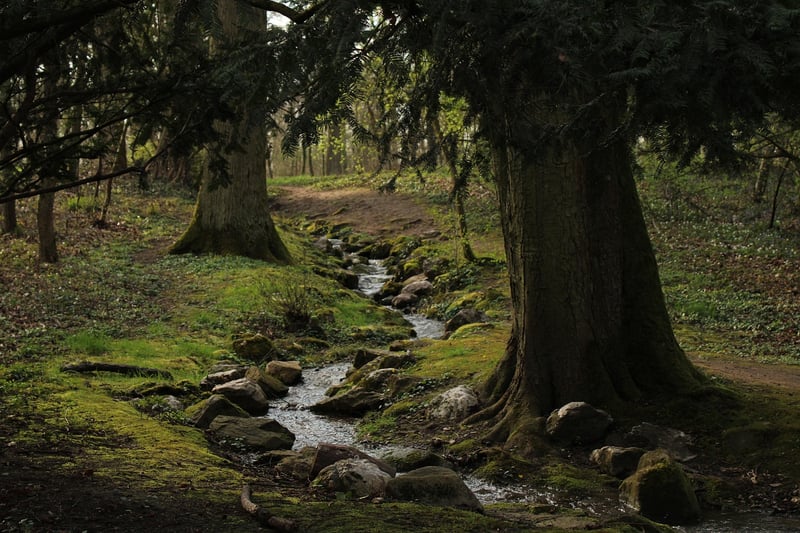 Rivendell